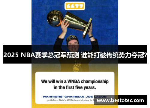 2025 NBA赛季总冠军预测 谁能打破传统势力夺冠？